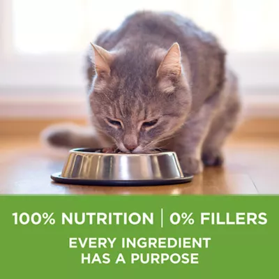 Product Purina ONE +Plus Advantage Indoor Dry Cat Food - Turkey