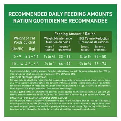 Product Purina ONE +Plus Advantage Indoor Dry Cat Food - Turkey