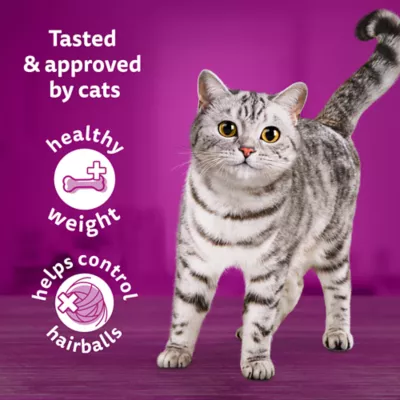 Product Whiskas Adult Dry Cat Food For Indoor Cats - With Real Chicken