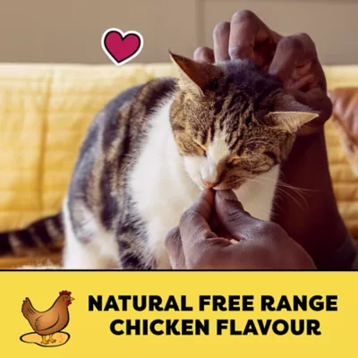 Product Temptations Adult Cat Treats - All Natural Free Range Chicken Flavour