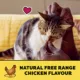 Product Temptations Adult Cat Treats - All Natural Free Range Chicken Flavour