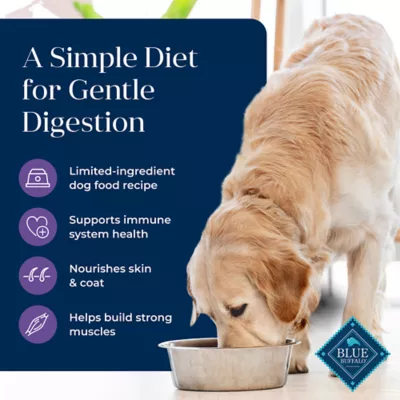 Product Blue Buffalo® Basics™ Skin & Stomach Care Adult Dog Dry Food - Grain Free, Turkey & Potato