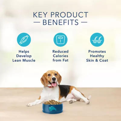 Product Blue Buffalo® Basics™ Skin & Stomach Care Healthy Weight Adult Dry Dog Food - Turkey & Potato