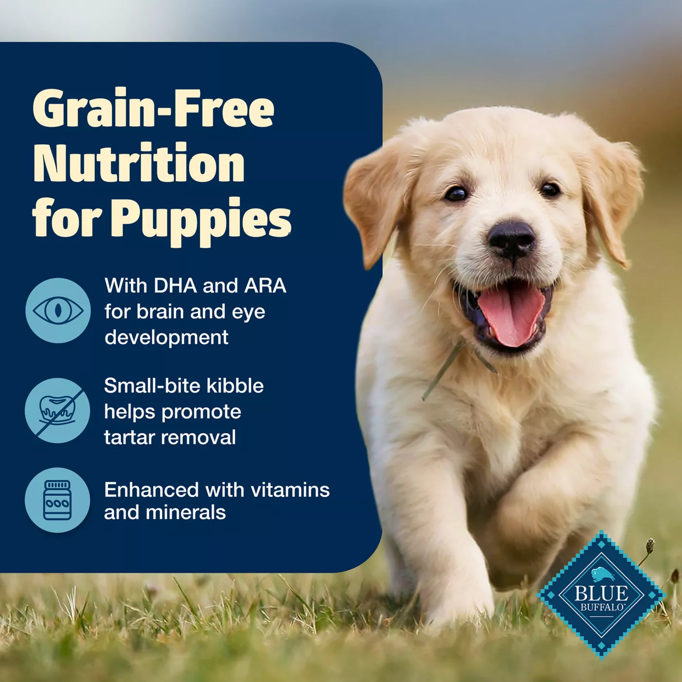 Blue Buffalo Freedom Puppy Dry Dog Food Grain Free Chicken