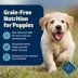 Blue Buffalo® Freedom™ Puppy Dry Dog Food - Grain Free, Chicken image thumbnail 3