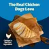 Blue Buffalo® Freedom™ Adult Dry Dog Food - Grain Free, Chicken & Potatoes image thumbnail 4