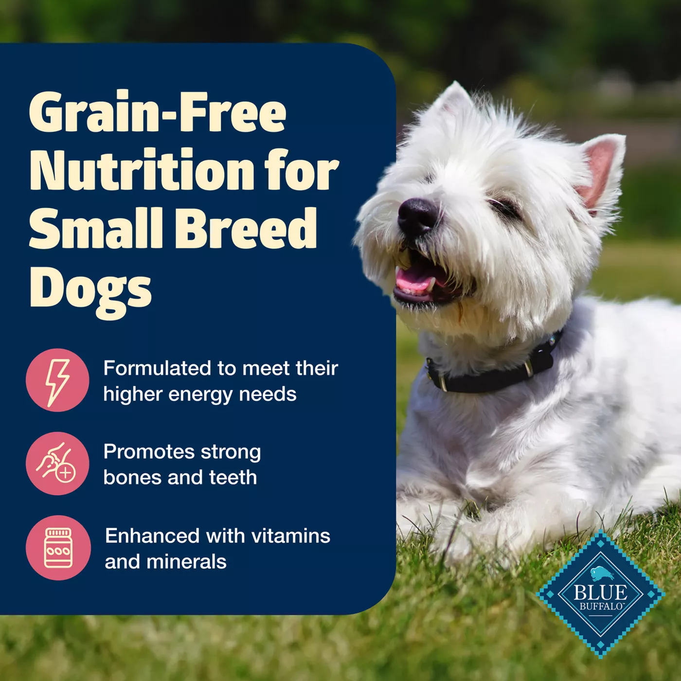 Blue Buffalo Freedom Small Breed Adult Dry Dog Food Grain Free Chicken