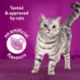 Product Whiskas Meaty Selections Adult Wet Cat Food Chicken & Beef Variety Pack, 12ct