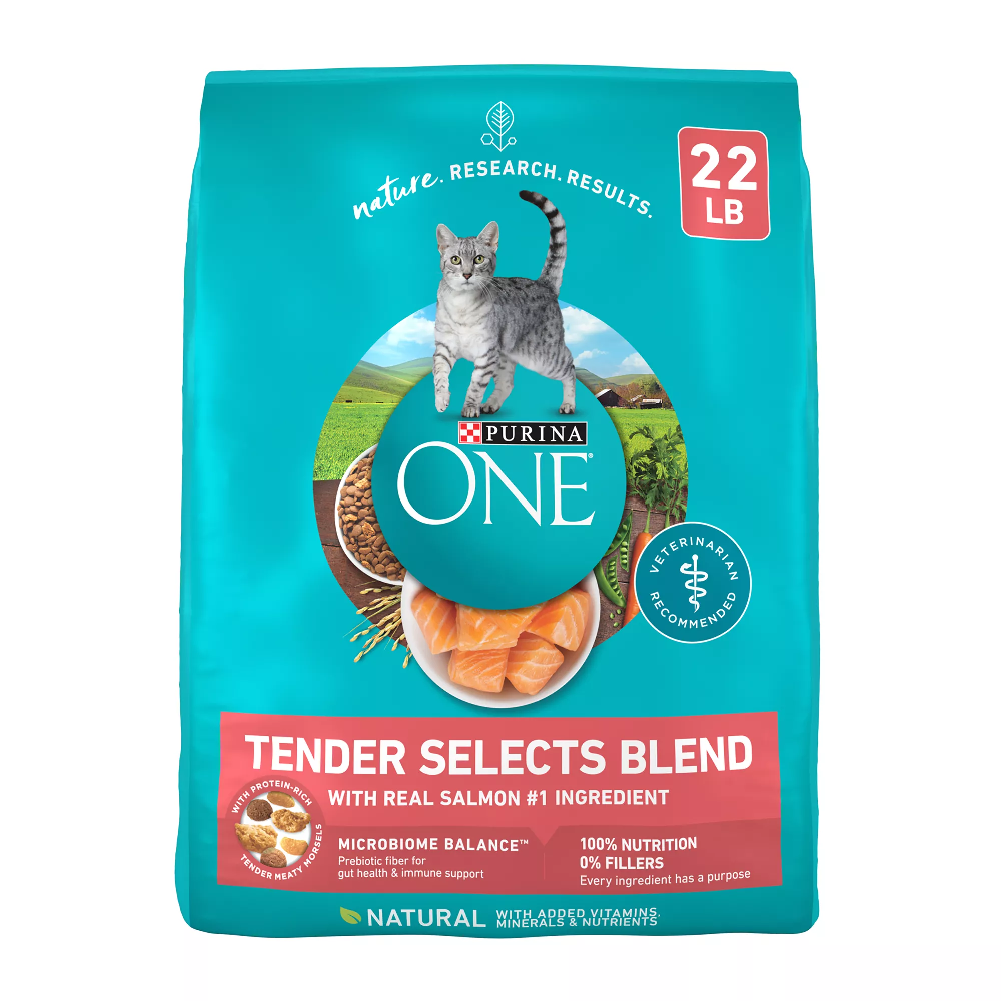 Purina ONE® Tender Selects Everyday Nutrition Adult Cat Dry Food - Salmon, Potato Free