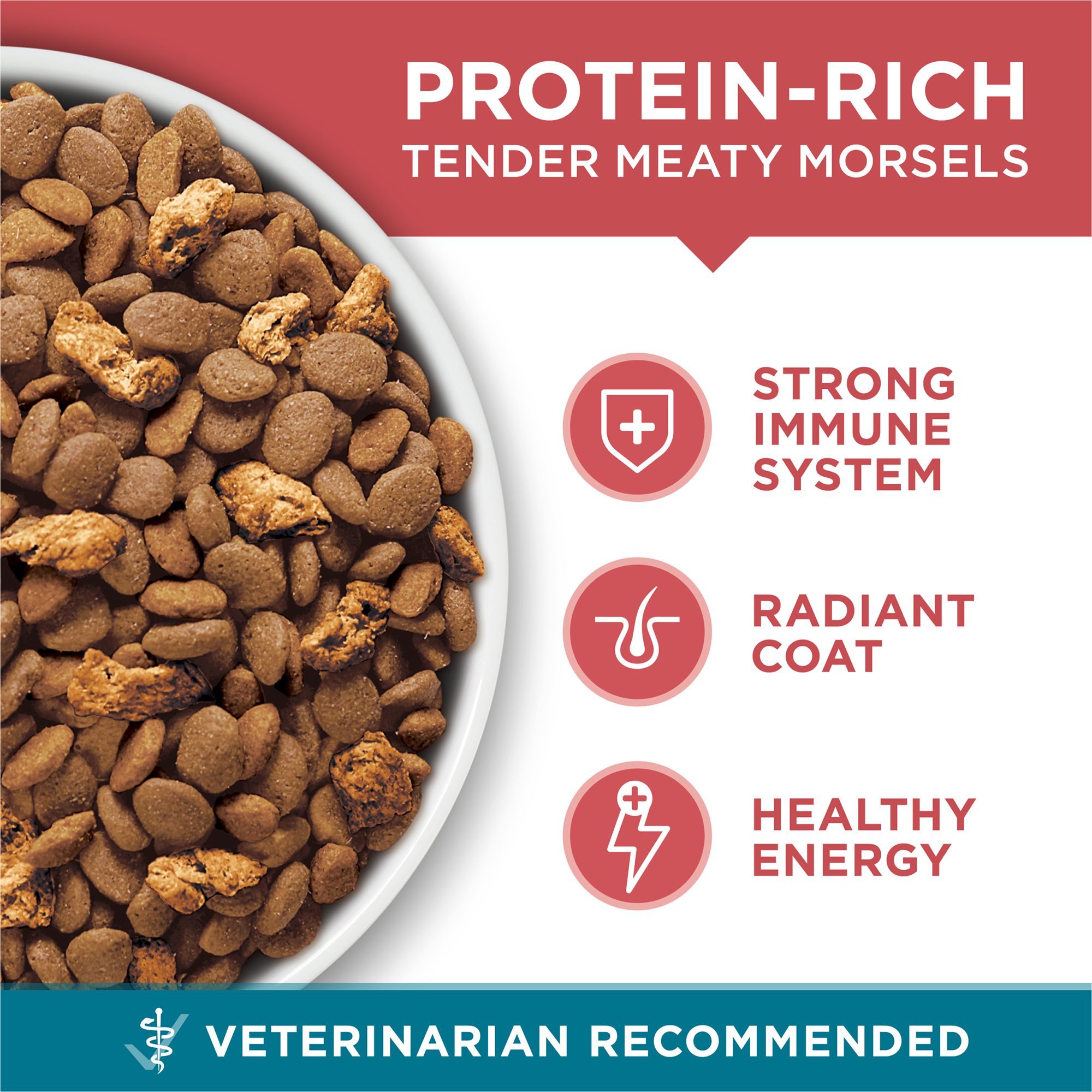 Purina ONE Tender Selects Everyday Nutrition Adult Cat Dry Food - Salmon,  Potato Free