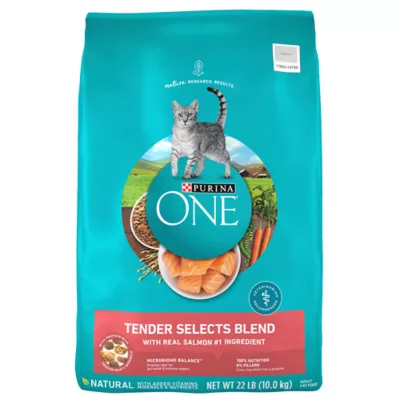 Product Purina ONE® Tender Selects Everyday Nutrition Adult Cat Dry Food - Salmon, Potato Free