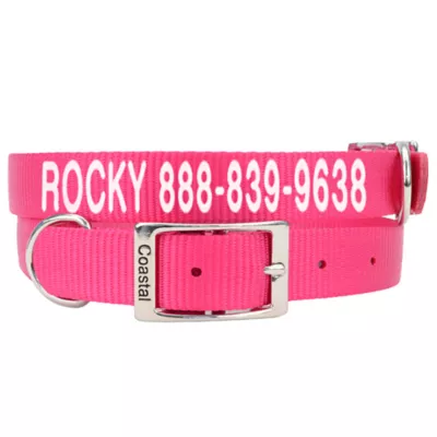 Coastal Pet Products Personalized Dog Collar - Image 1