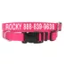 Coastal Pet Products Personalized Tough Dog Collar image thumbnail 1