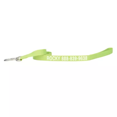 Coastal Pet Products Personalized Single Ply Nylon Dog Leash - Image 1