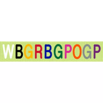 Coastal Pet Products Personalized Single Ply Nylon Dog Leash - Image 2