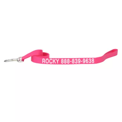 Coastal Pet Products Personalized Single Ply Nylon Dog Leash - Image 1