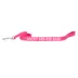 Coastal Pet Products Personalized Single Ply Nylon Dog Leash image thumbnail 1