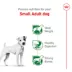 Royal Canin Size Health Nutrition Small Breed Adult Dry Dog Food image thumbnail 3