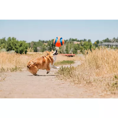 Product Chuckit!® Kick Fetch™ Ball Dog Toy