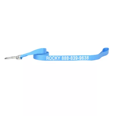 Coastal Pet Products Personalized Single Ply Nylon Dog Leash - Image 1