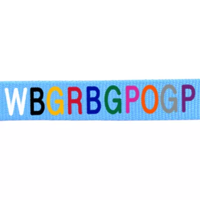 Product Coastal Pet Products Personalized Single Ply Nylon Dog Leash