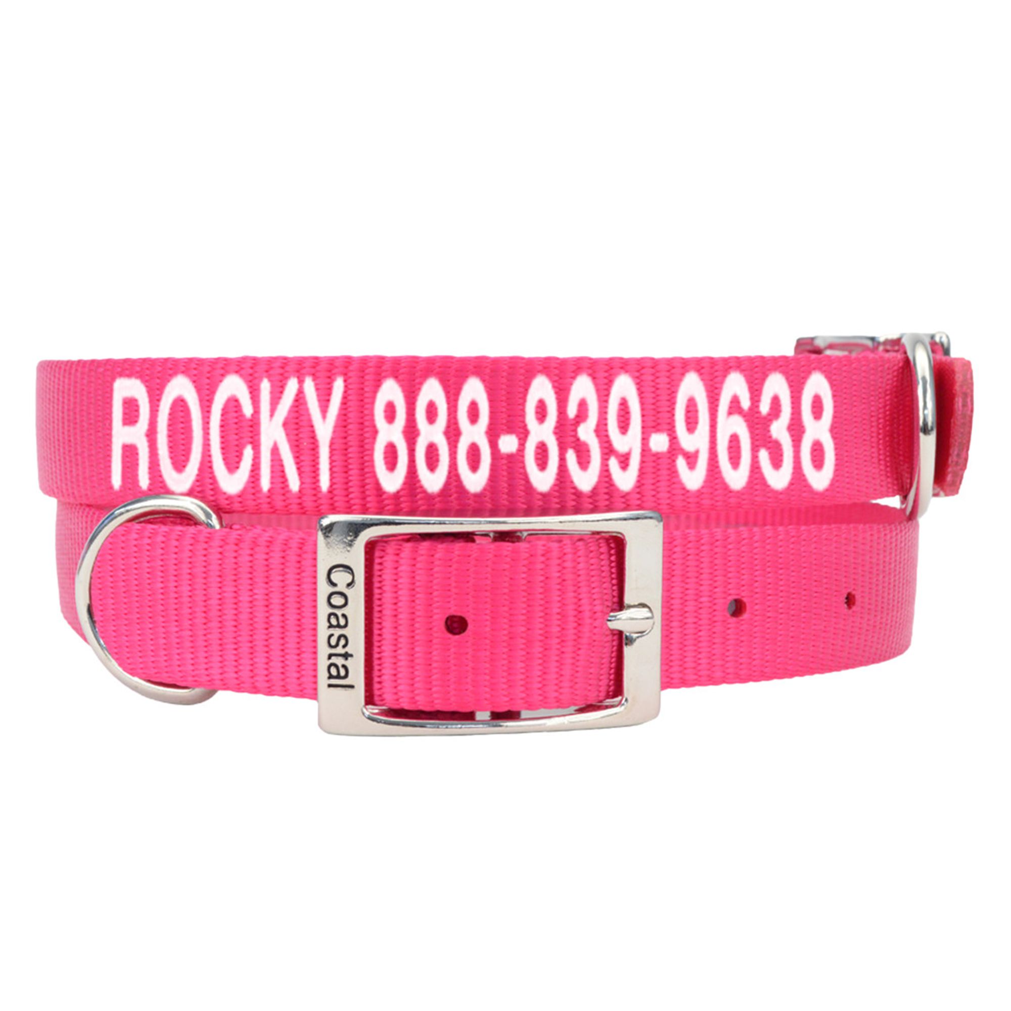 Holiday dog shop collars petsmart