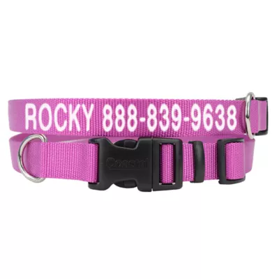 Coastal Pet Products Personalized Tough Dog Collar - Image 1