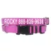 Coastal Pet Products Personalized Tough Dog Collar image thumbnail 1