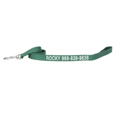 Coastal Pet Products Personalized Single Ply Nylon Dog Leash - Image 1