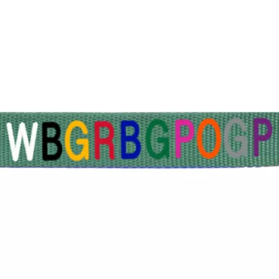 Coastal Pet Products Personalized Single Ply Nylon Dog Leash - Image 2