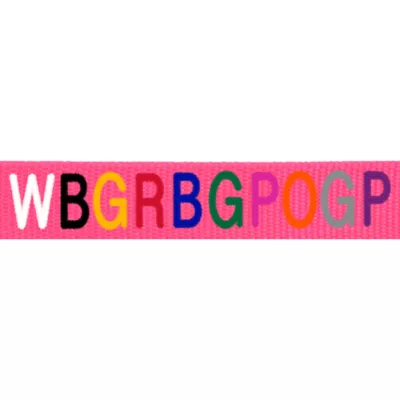 Coastal Pet Products Personalized Dog Collar - Image 2