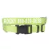 Coastal Pet Products Personalized Tough Dog Collar image thumbnail 1