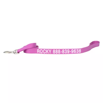 Coastal Pet Products Personalized Single Ply Nylon Dog Leash - Image 1