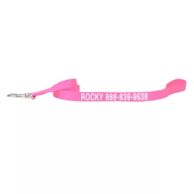 Coastal Pet Products Personalized Single Ply Nylon Dog Leash - Image 1