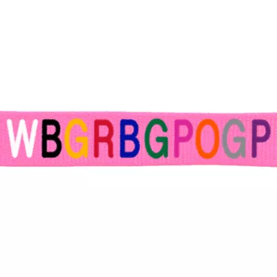Coastal Pet Products Personalized Single Ply Nylon Dog Leash - Image 2