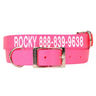 Product Coastal Pet Products Personalized Dog Collar