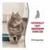Nature's Miracle® Natural Care Clumping Corn Cat Litter - Lightweight, Low Dust, Natural image thumbnail 3