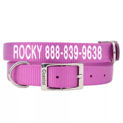 Coastal Pet Products Personalized Dog Collar - Image 1