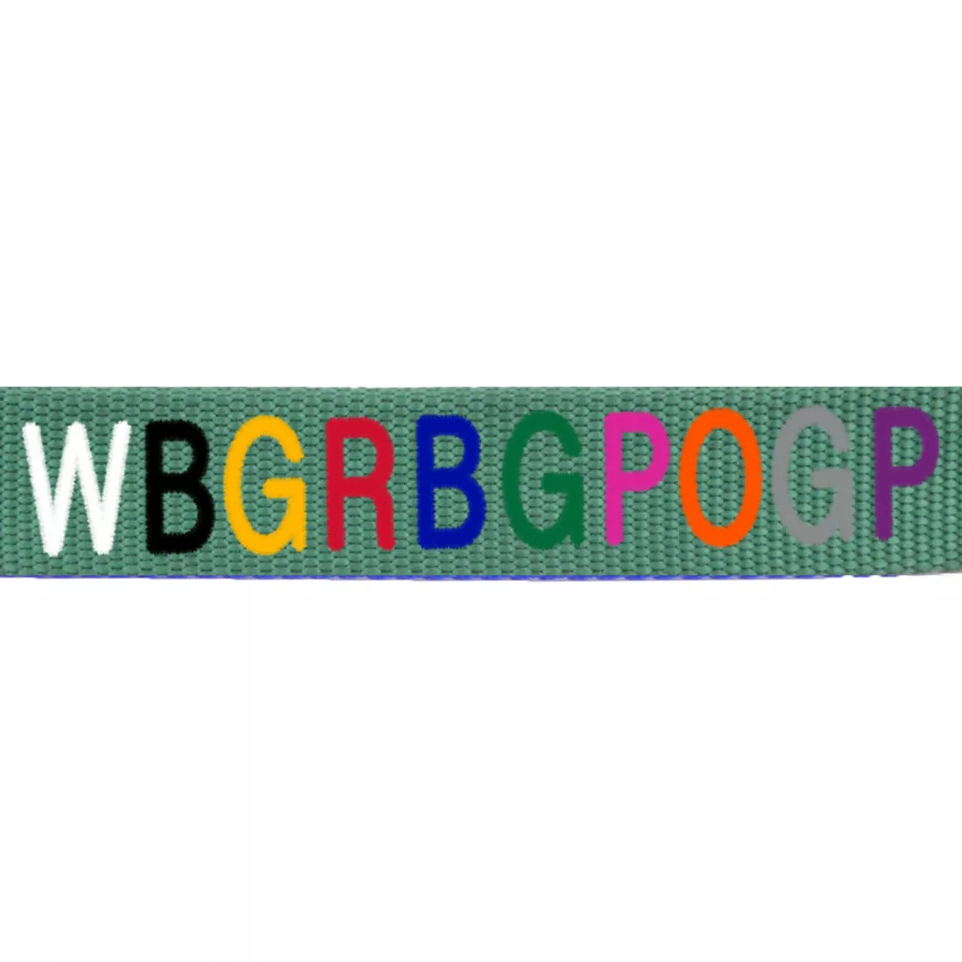 Product Coastal Pet Products Personalized Dog Collar