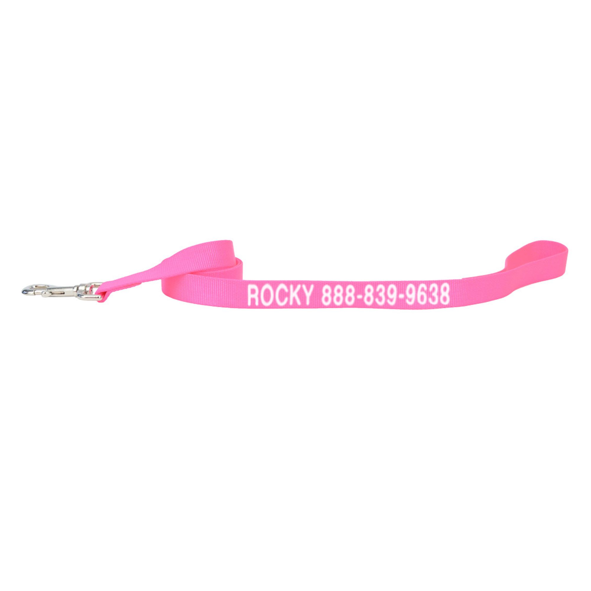 Coastal Pet Products Personalized Single Ply Nylon Dog Leash