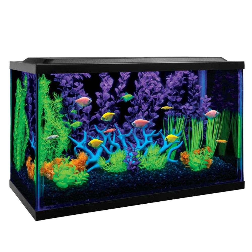 GloFish ® 10 Gallon Aquarium Kit fish Starter Kits PetSmart.
