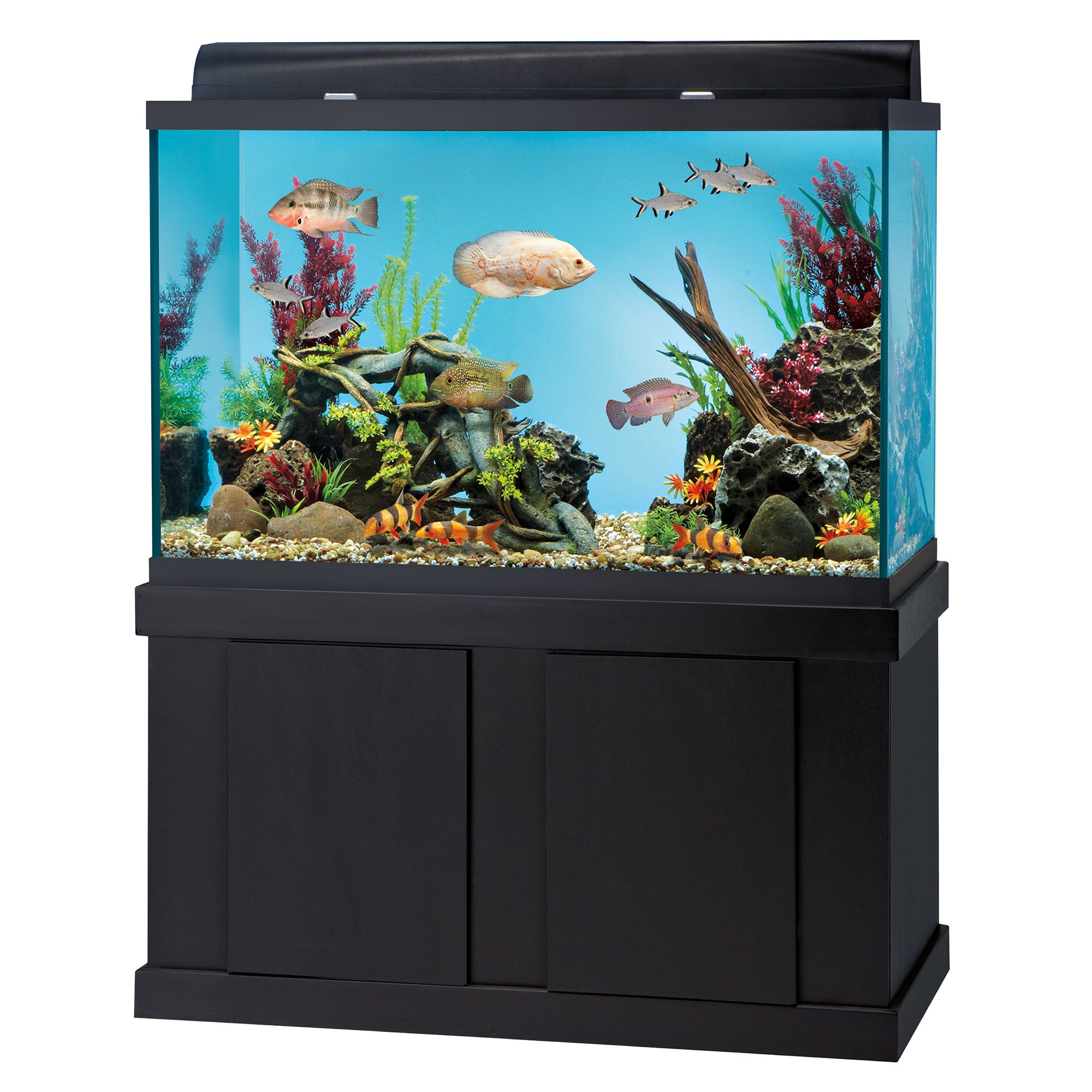 Top Fin® Aquarium Ensemble - 150 Gallon 