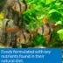API® Tropical Mini Pellets Fish Food image thumbnail 4