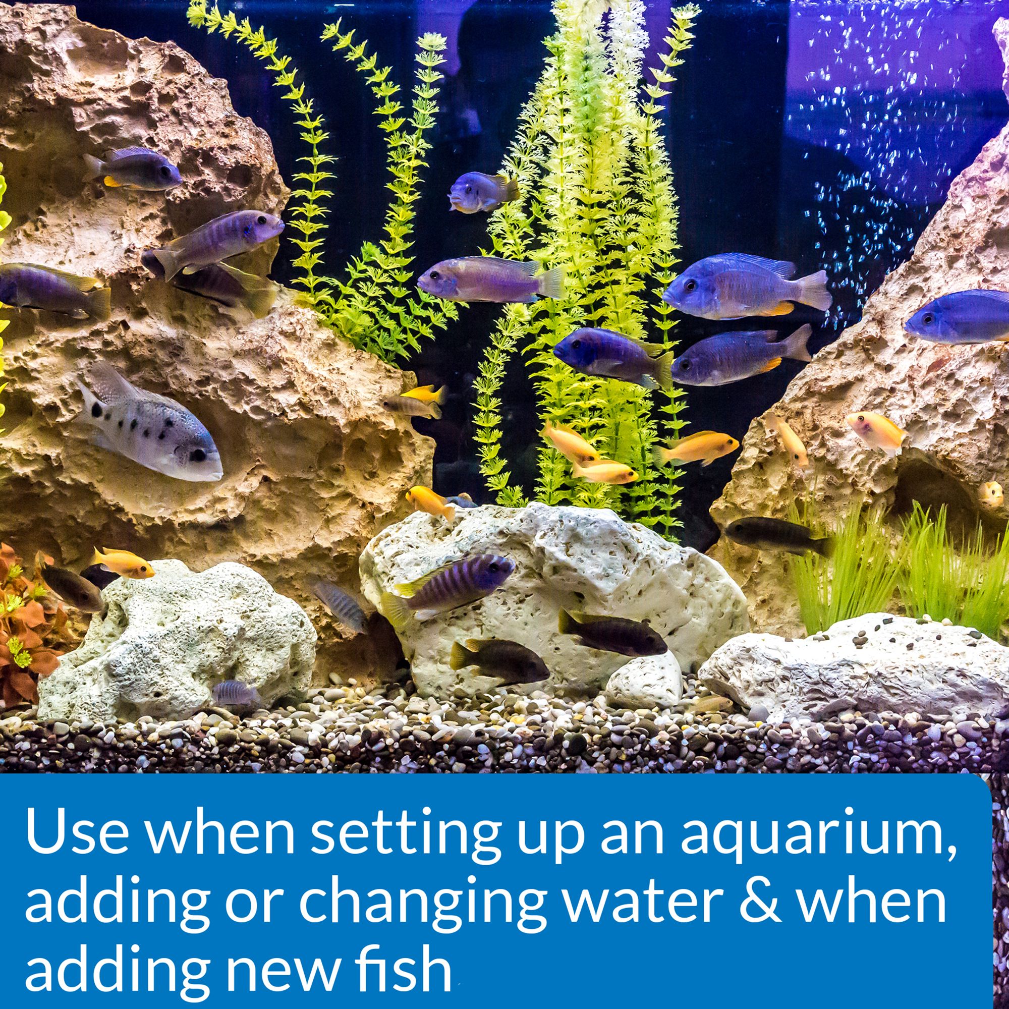 API® Quick Start Aquarium Cycling Water Conditioner - thumbnail 3