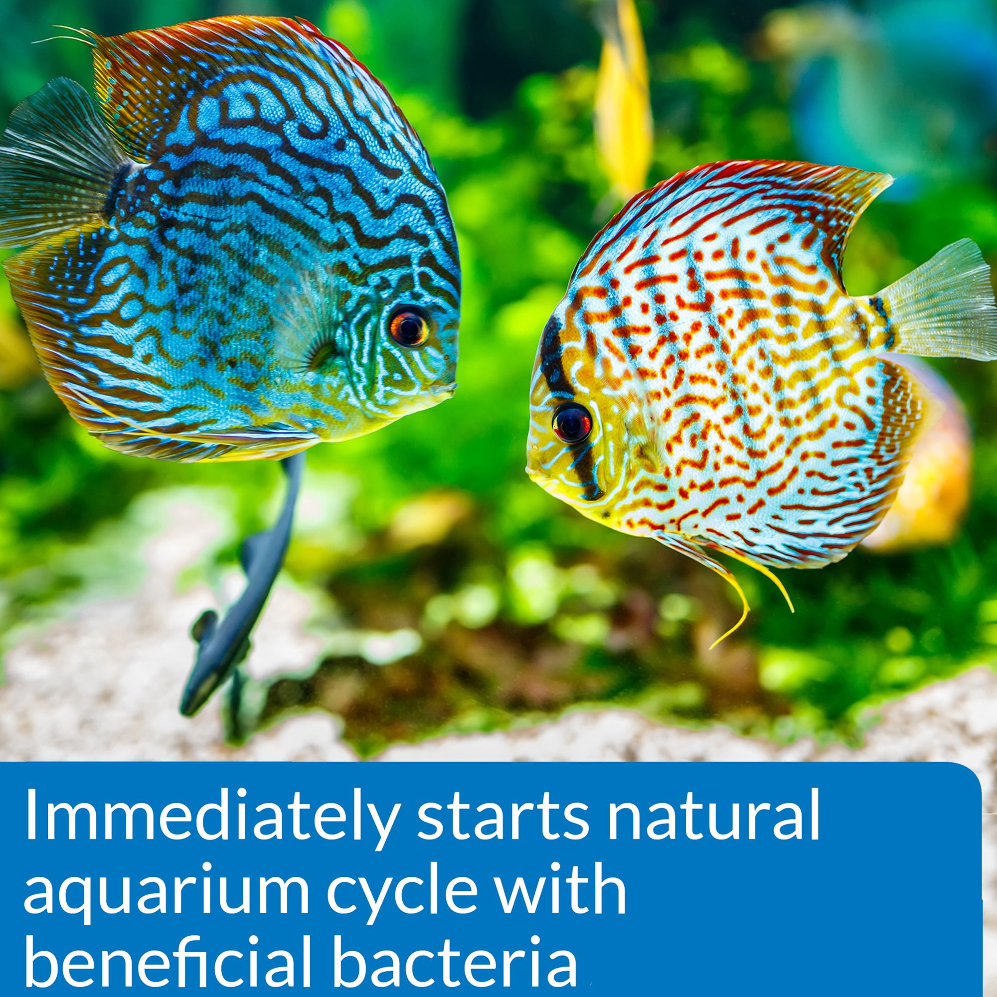 API® Quick Start Aquarium Cycling Water Conditioner - thumbnail 4