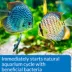 API® Quick Start Aquarium Cycling Water Conditioner image thumbnail 4
