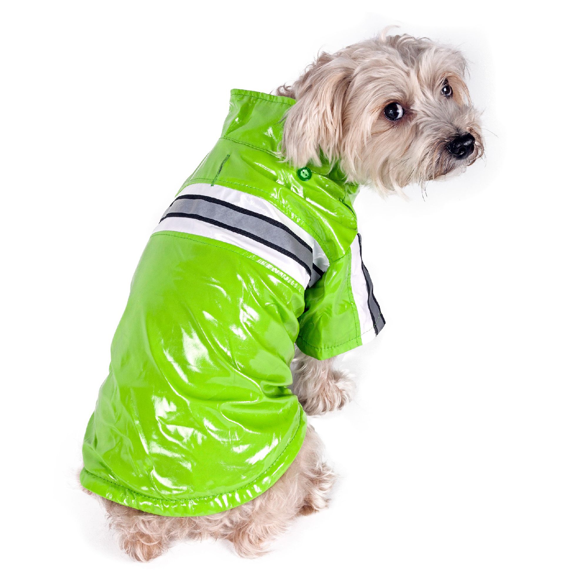 dog rain jacket petsmart