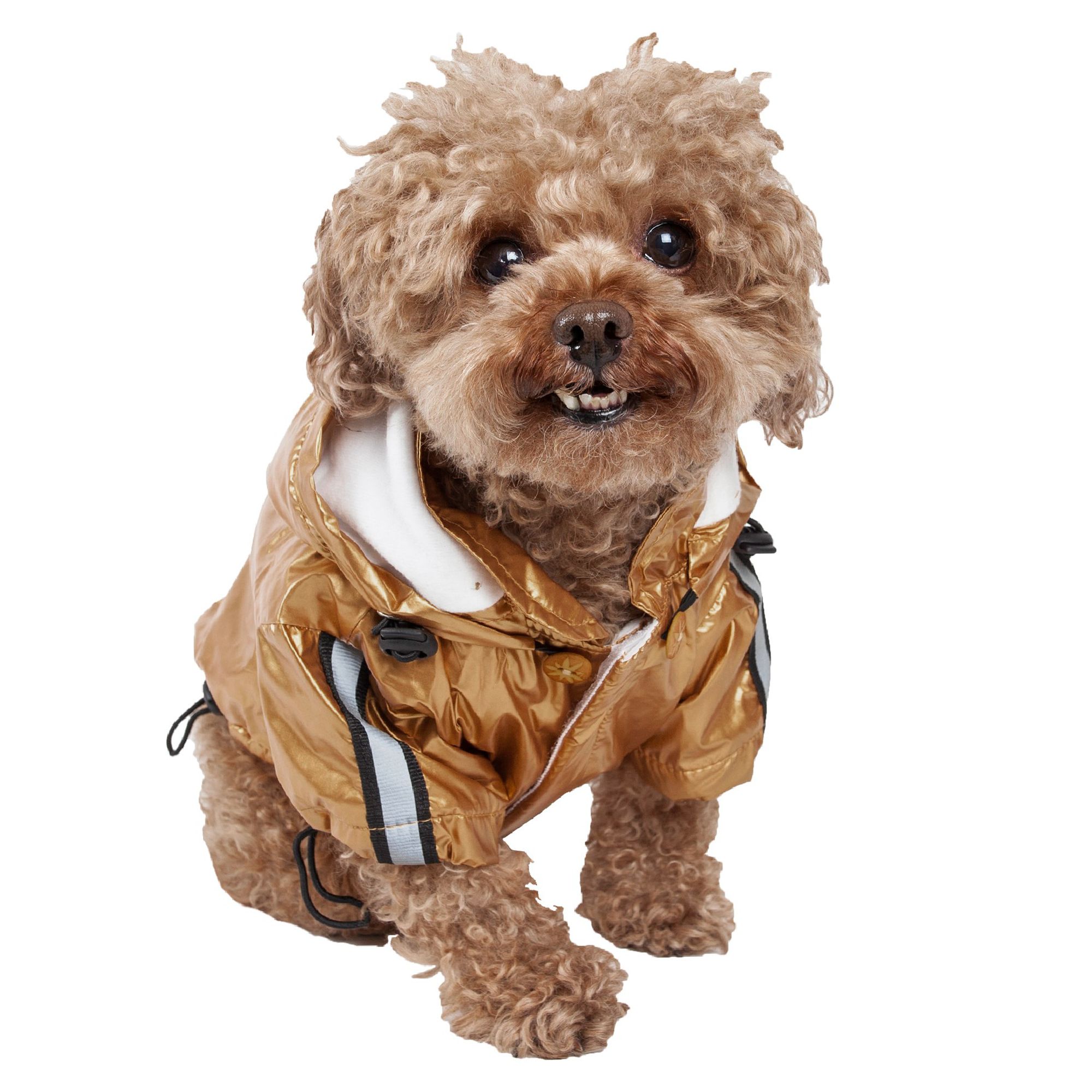 dog rain jacket petsmart