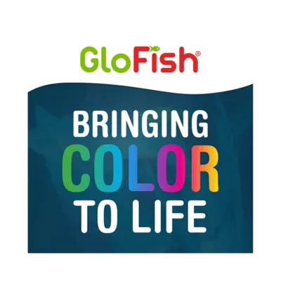 Product GloFish® Aquarium Gravel