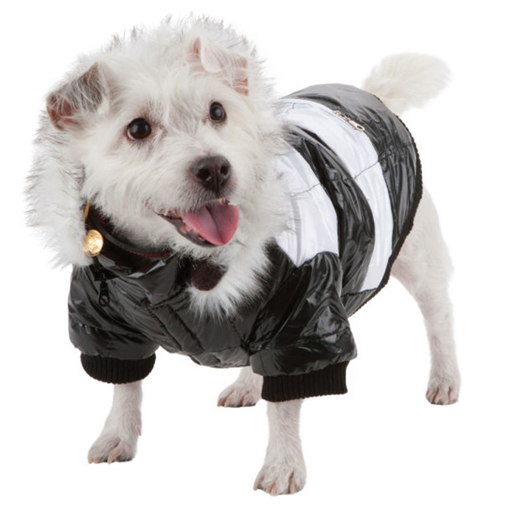 Pet Life Striped Fashion Parka With Removable Hood dog Sweaters